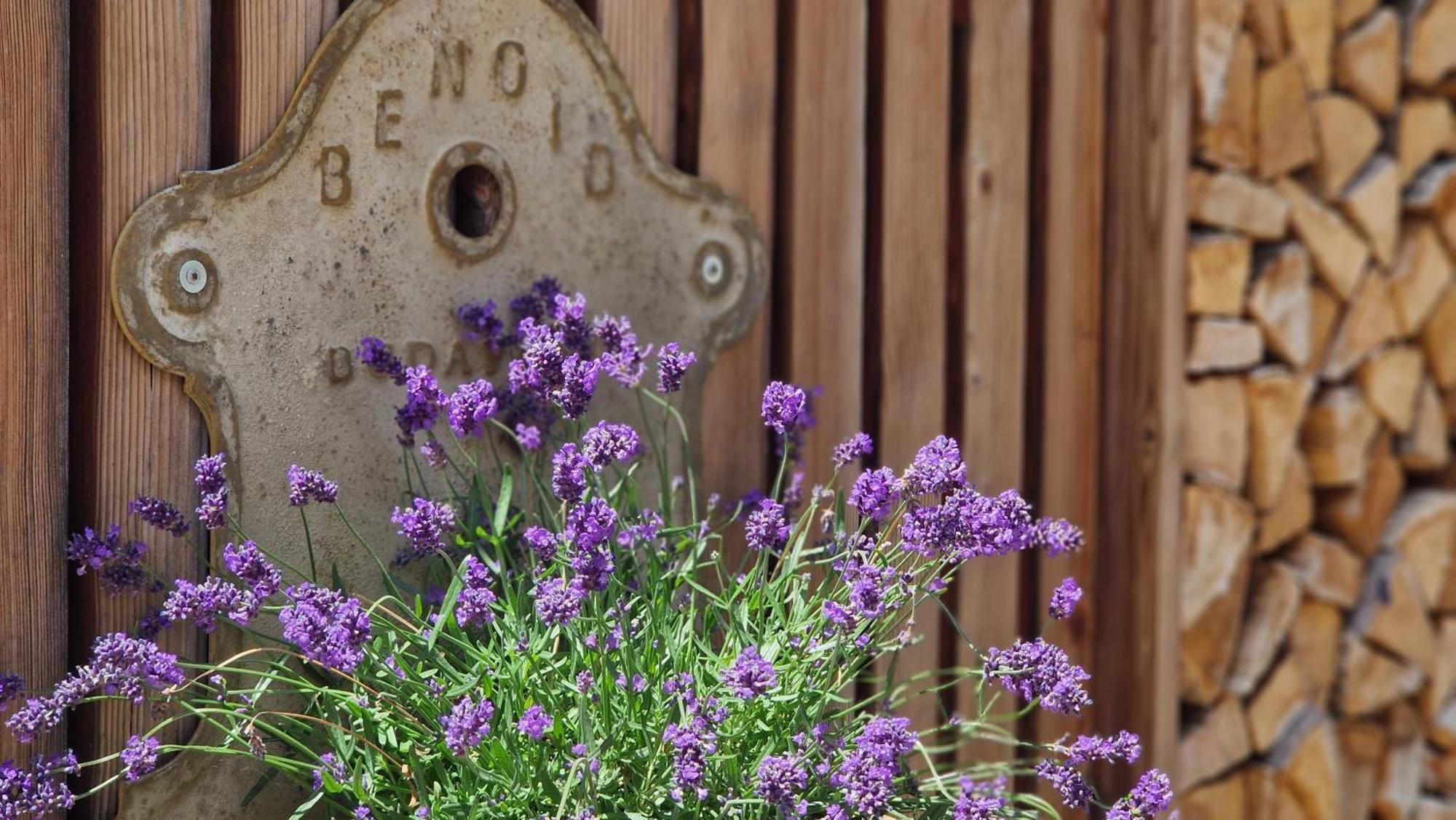 Nostalgie Bed & Breakfast Chraemerhus Curaglia Dış mekan fotoğraf